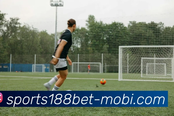 188bet体育APP 封面图